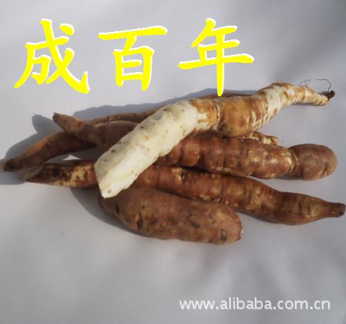 ★除了<em>拨</em>掉,你还能怎么对付<em>白发</em>? 阿里巴巴 yc