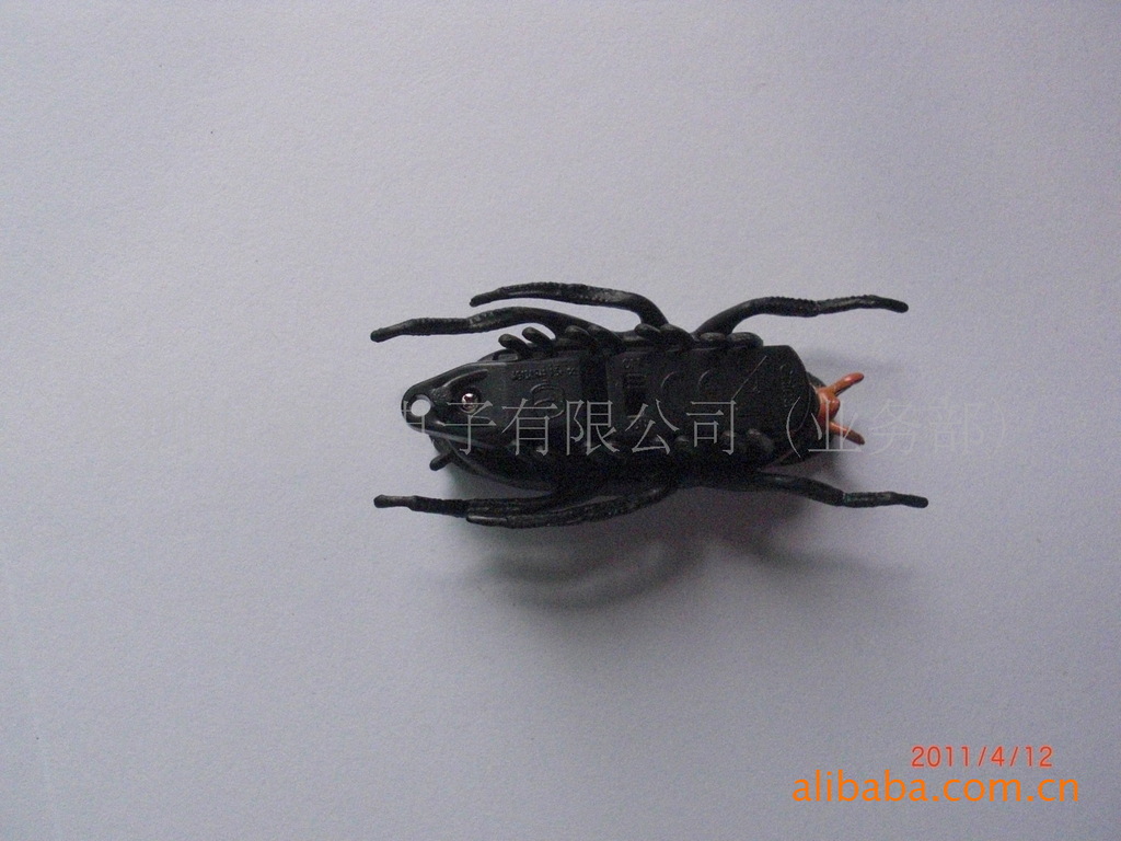 供应大自然动物童趣电子电动虫 电子电动爬行虫