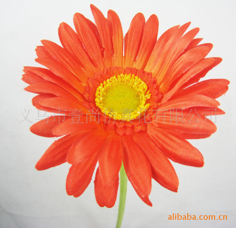 【【热销】单枝高档弗朗菊 非洲菊 仿真花 绢花 插花 小额批发】价格,厂家,图片,人造仿真植物,义乌市壹尚仿真花有限公司-马可波罗网