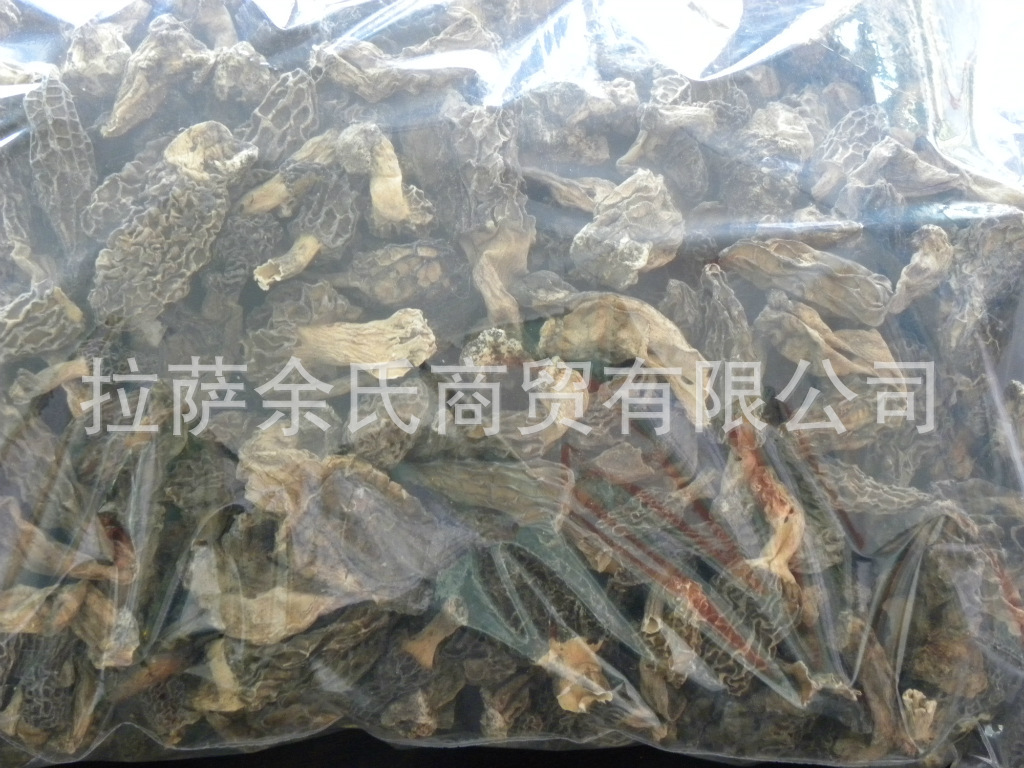 西藏純天然、無污染的有機食品——羊肚菌（全干貨）零售、批發