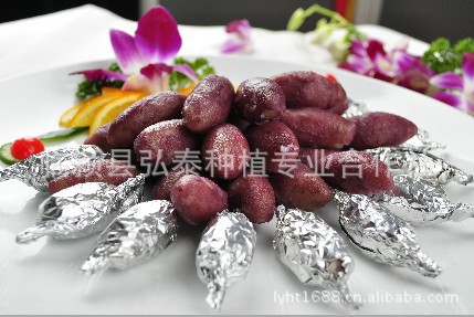 【紫红薯种苗 紫地瓜种苗 深加工、市场销售型