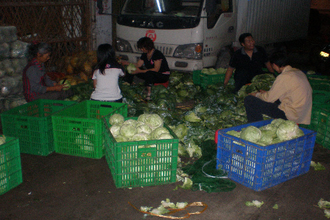 叶菜类-蔬菜配送、蔬菜加工、食堂、酒店、学