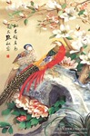 供应3D立体画 超逼真 孔雀 PET三维立体画 款式很多 S713