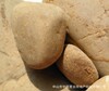 产地低价供应6-12公分天然园林鹅卵石 变电站专用鹅卵石