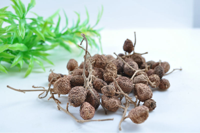 【广东特产 精选阳春砂仁 【佛山三寸豆干货】