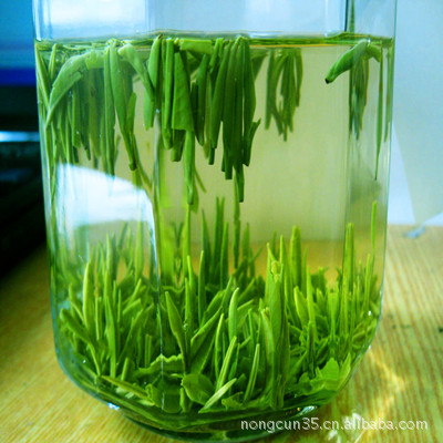 绿茶 茶叶批发 供应2012年千岛湖优质高山绿茶