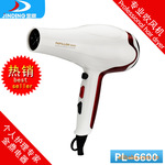 大功率直流电吹风 专业电吹风 吹风机 PA6600