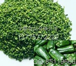 供应质量上乘的脱水青椒(图)