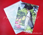 【办公文教用品】广告宣传促销礼品 A4大小 PP文件夹(袋)
