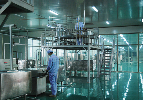 【黄河人大豆肽乳 乳酸菌发酵 非转基因大豆 植物蛋白功能饮料】价格,厂家,图片,功能饮料,河南黄河人健康食品有限公司-马可波罗网