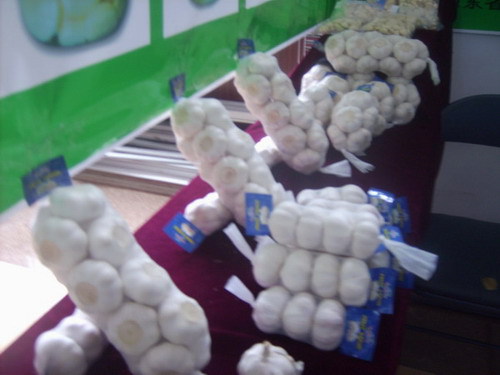金乡圣亚商贸有限公司供应各种规格包装好大蒜