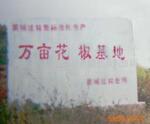 ��Ӧ���ڼ����� ���ڻ���.����ۻ��� ����