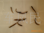 ��Ӧ������