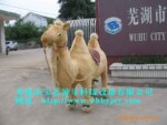 芜湖宝艺大型骆驼电瓶车,玩具,游乐设备,仿真动物