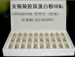 新美容口服胶原蛋白系列饮品加工 安瓶装胶原蛋白粉剂贴牌