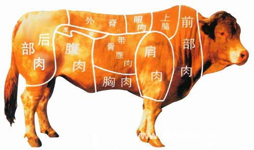 澳大利亚1265厂进口冷冻牛肉肥牛1号肥牛2号长期批发火锅店肉类