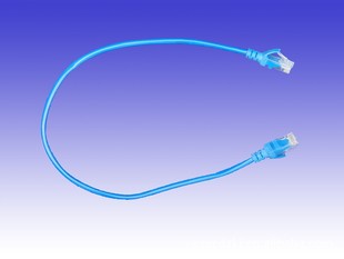 注塑头网线,8芯网线,长度可定制 双绞线 电脑线