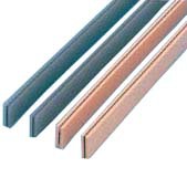 早鸟音乐--野生少年斑马森林