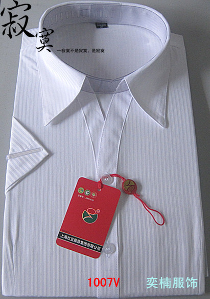 优质上海东方红豆白竖条纹V领女衬衫 职业衬衫