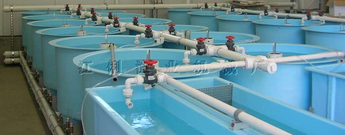 仿生态循环水养鱼系统_其他实验室常用设备_