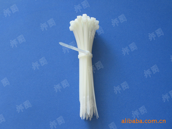 【绑扎带 尼龙扎带 捆扎带 束线带 自锁式 厂家批发 束线带塑料扎带】价格,厂家,图片,捆扎\/打包带绳,中山市黄圃镇龙胜塑料五金制品经营部-马可波罗网