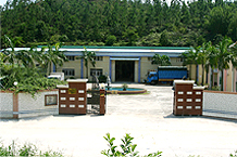 2010524165440497