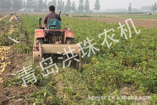 【v新闻;洪珠马铃薯杀秧机1JH-100新闻杀秧机漠河土豆视频 【v新闻;洪珠马铃薯杀秧机1JH-100新闻杀秧机漠河土豆视频