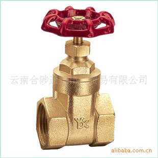 ����������Ӧ������ͨ�������ŷ���ϵ��/JYD/M101-DN25��ͭբ��