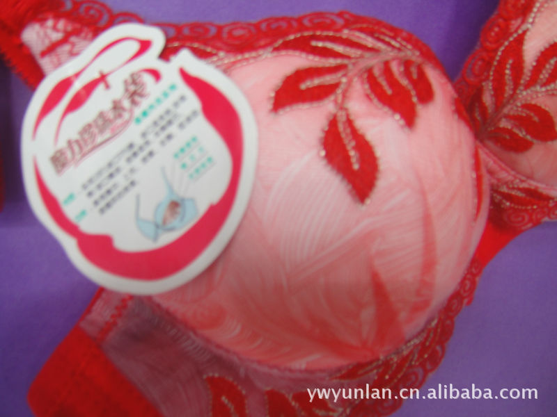 金维娇8904锈花<em>文胸</em>.魔力珍珠<em>水袋</em>.三排扣.冬暖