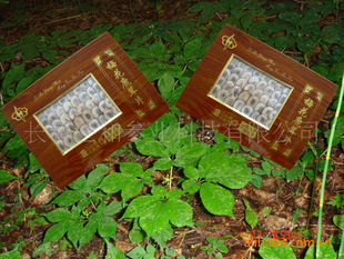 动物原药材-梅花鹿茸片\/梯形茸片-货号:2003-动