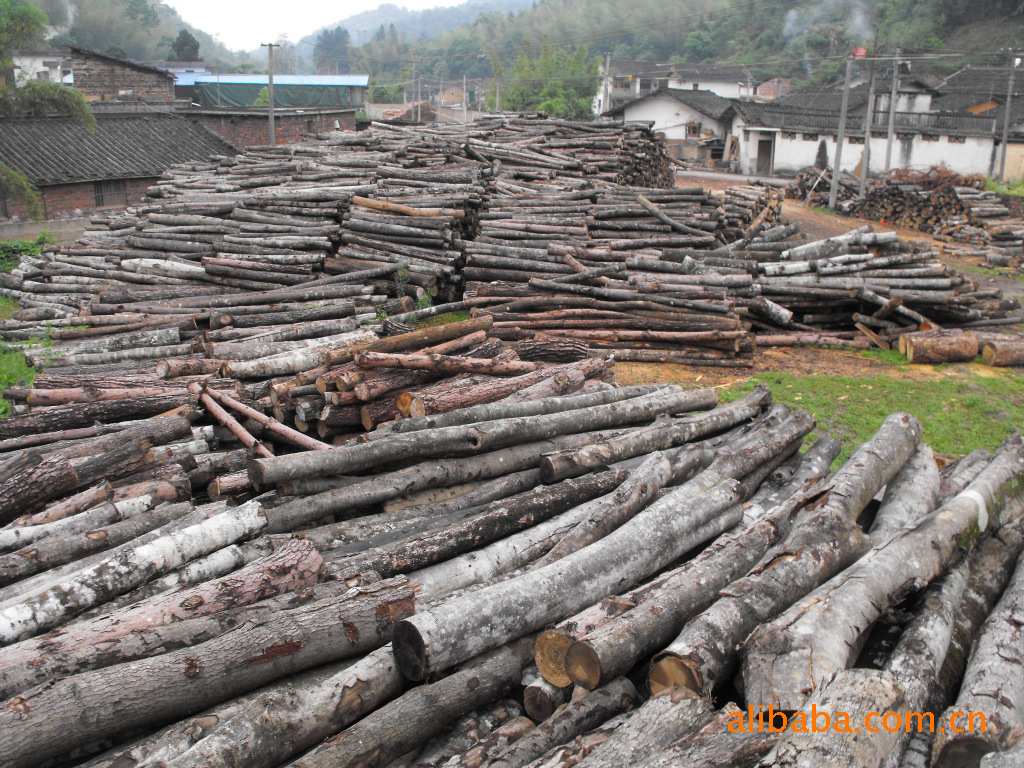 建筑木方价格及生产厂家[蕉岭县南礤镇新宏木