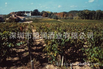 清远传奇波尔多