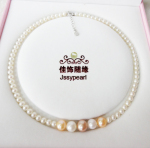 ��Ӧ�������� ��Ʒ�������� ��Ʒ������������ XL-082