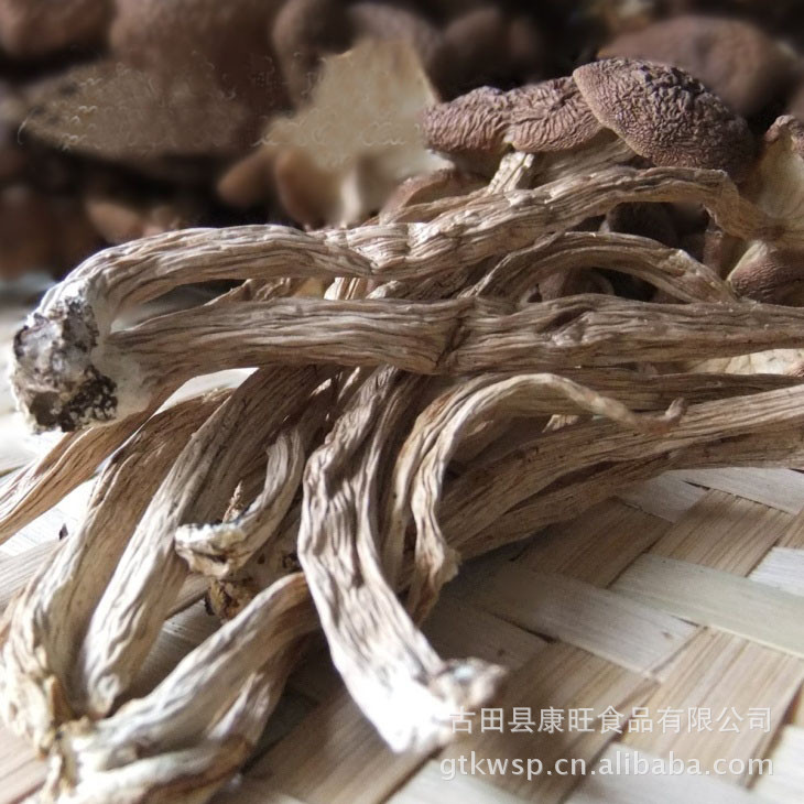 特級茶樹菇 干貨食用菌 茶薪菇 康盛達出口品質