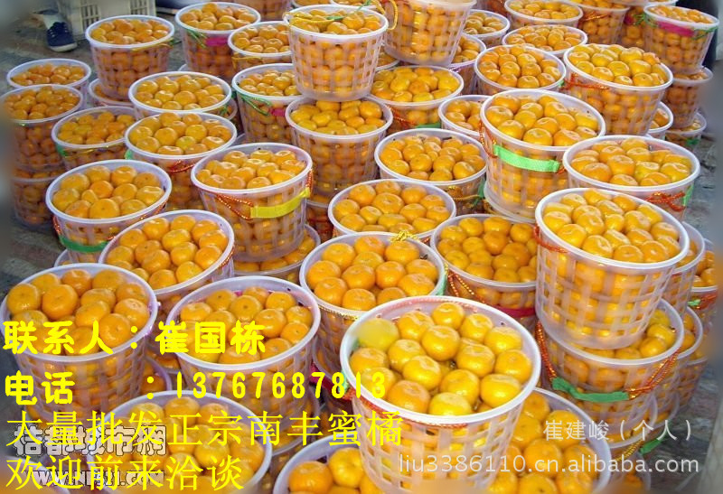 【南丰蜜橘,贡橘】价格,厂家,图片,橙、桔、柚,
