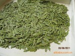 小额批发 优质有机千岛玉叶 龙井绿茶