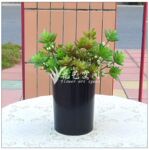 7头莲花 高仿真塑料小植物 仿生盆景 小盆栽 艺术插花
