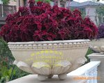 定制玻璃钢花盆 景观花盆 大型花钵 仿青铜花盆 商场花盆