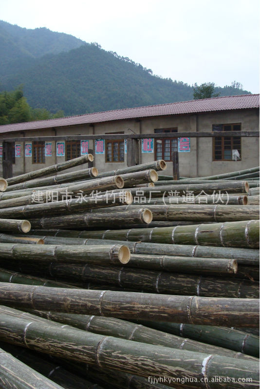 本厂生产原料为四年生以上优质毛竹.竹纤维牢固,柔韧性强.