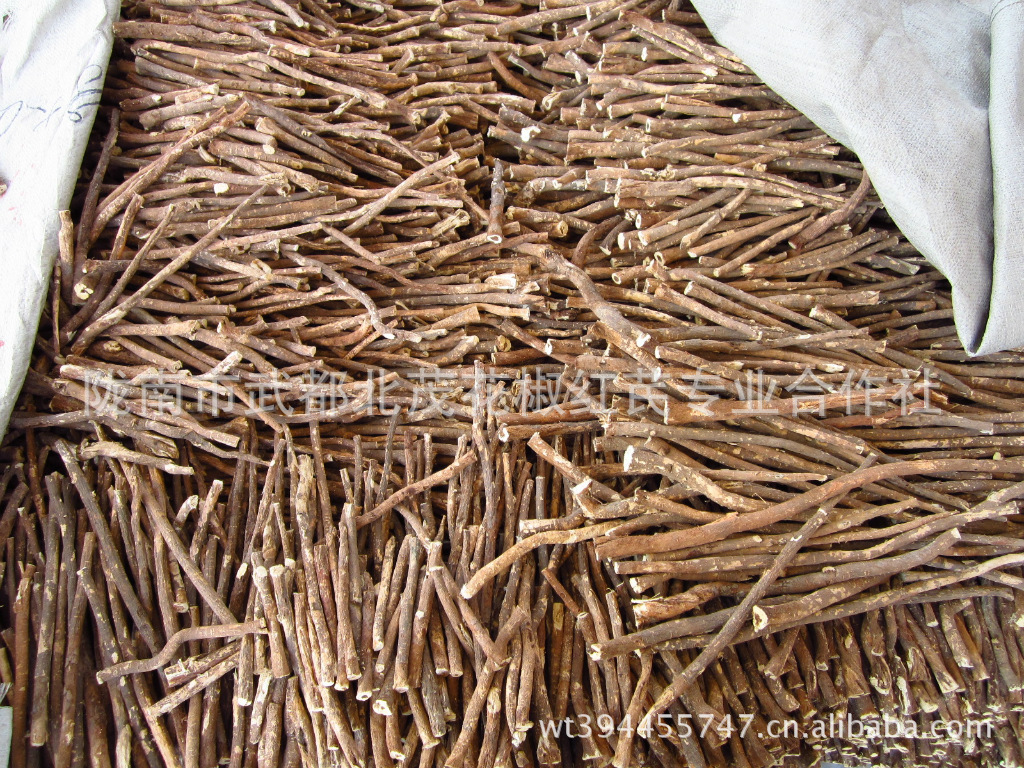 【红芪】价格,厂家,图片,植物中药材,陇南市武都