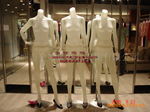��Ӧ����櫡��¿�͸��ģ��PRADA���ģ�ظ߶˳���չʾģ��
