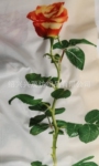 供应全棉印花布烫板面料