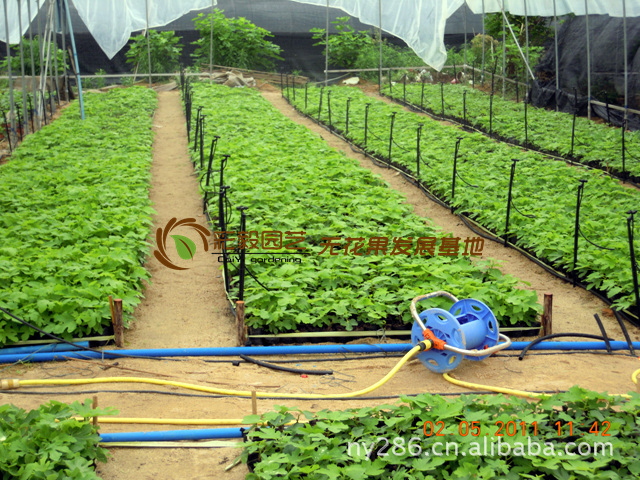 百家乐官网链接中国园艺学会桃分会2025年学术研讨会召开
