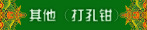 ���� (���ǯ��