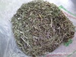 批发供应迷迭香、迷迭香粉(图) 加工各种粉粉 支持验货