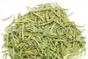 供应广西大货迷迭香 新源茶厂 花草茶系列 袋泡茶系列