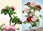 特价销售 25*35PP立体画变图系列 款式多 规格全