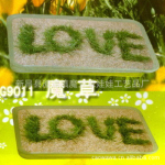 草娃娃 2011新款 魔草 会长字的草 青草种植 园艺礼品