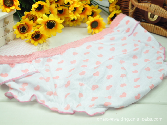 【<em>外贸尾单内裤</em> 日单女士<em>内裤批发</em> 木代尔原单