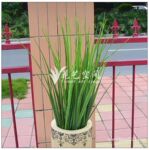 5叉兰花草 塑料仿真植物 艺术插花配叶 仿真草